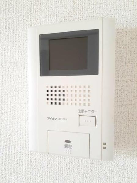 モデルノ24