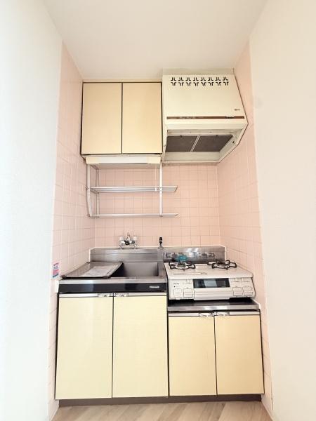 メゾン・ド・ピアⅡ