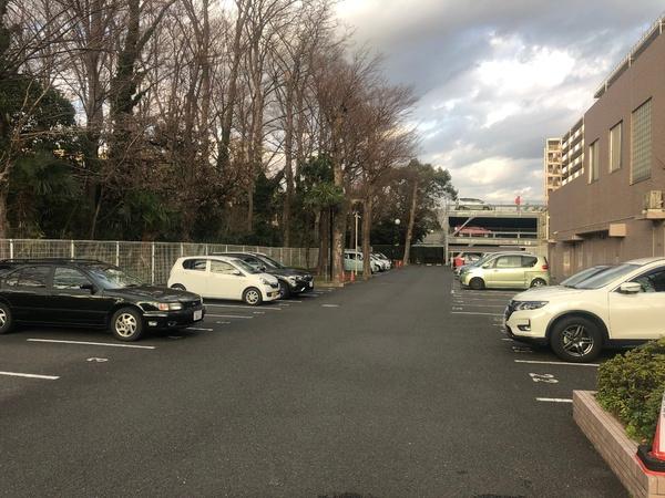 湘南サザン260