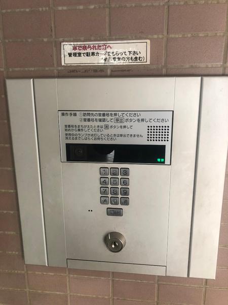 湘南サザン260