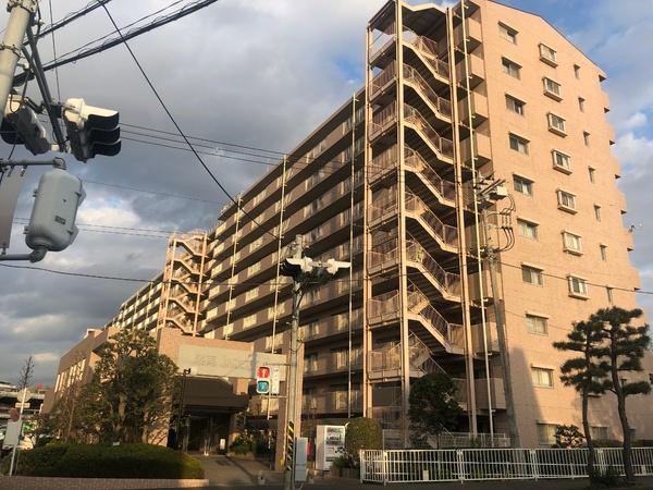 湘南サザン260