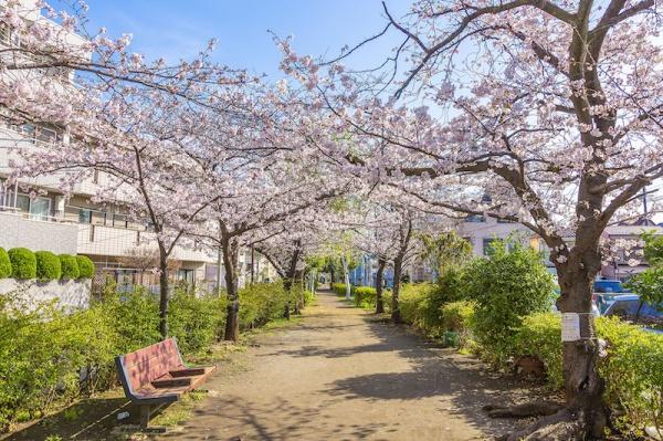 ルリアン(旧呑川緑地)