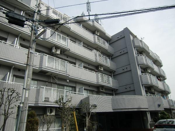 ロイヤルシーダ