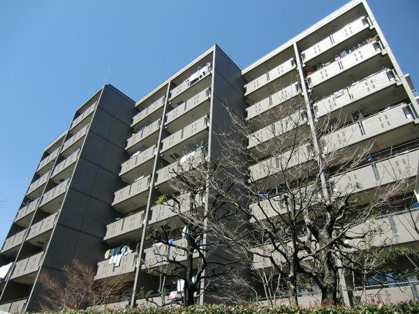 ゴコウエテルナーレ
