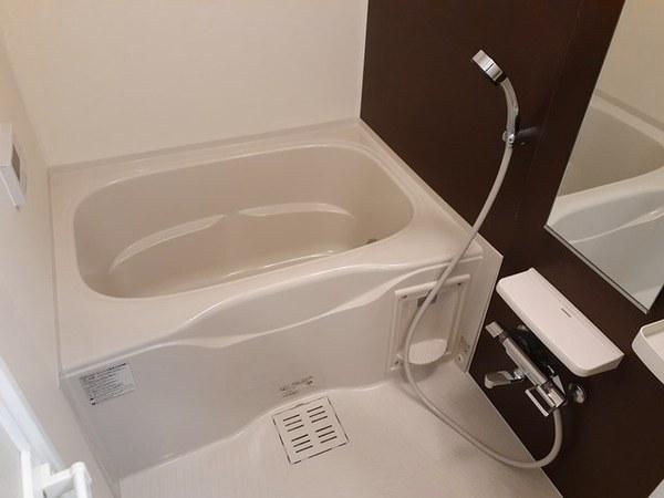 カンパニュラ