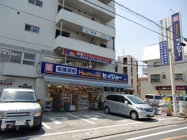 メゾンモナリエ(ココカラファイン柴崎店)