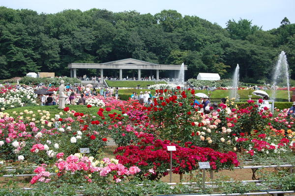 aisevillage(神代植物公園)
