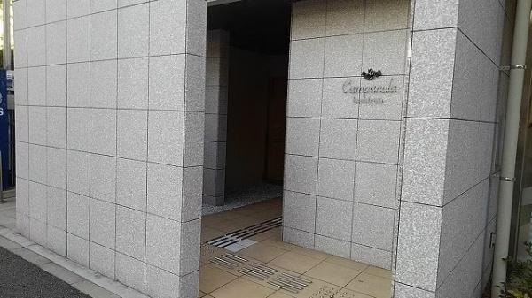 カンパニュラ