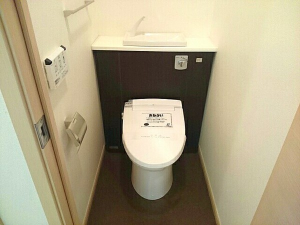 カンパニュラ