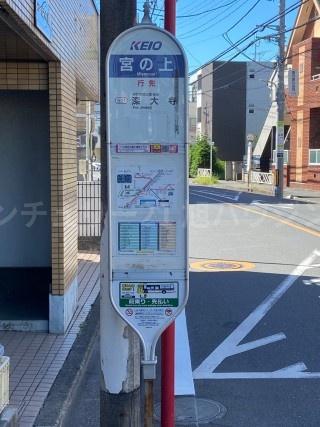 サニーサイド