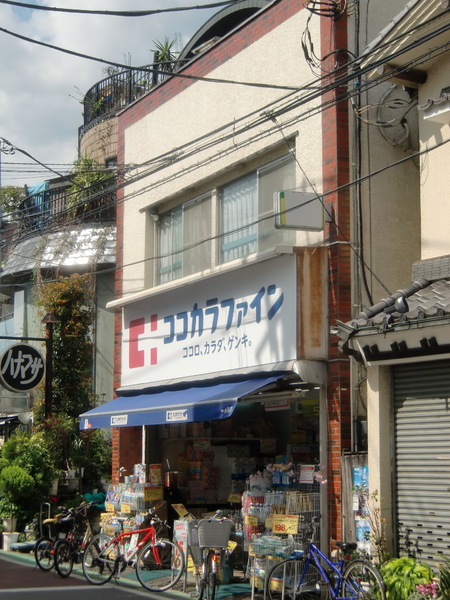 ベルハイム成城(ココカラファイン喜多見店)