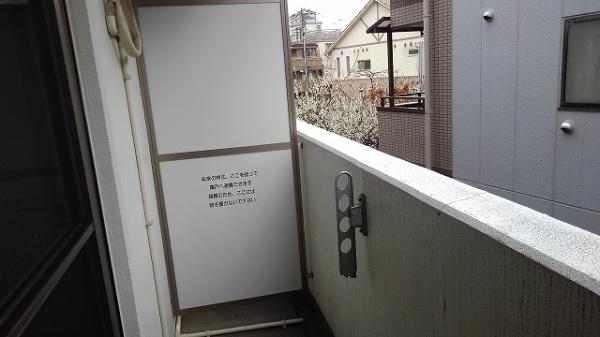 カンパニュラ