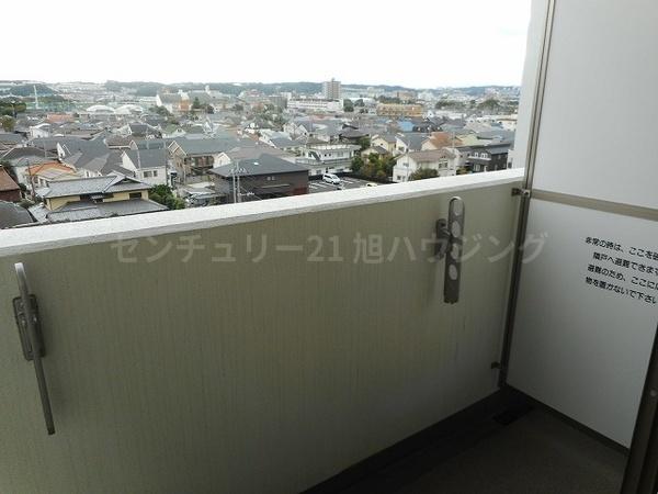 カンパニュラ