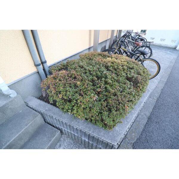 ハビタス調布