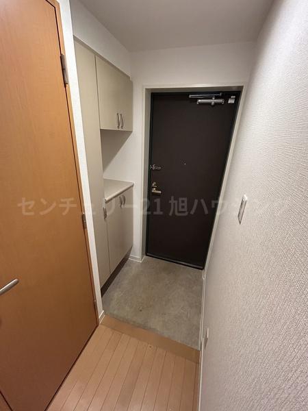 プラム12