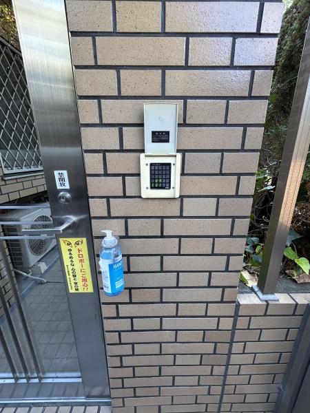 プラム12