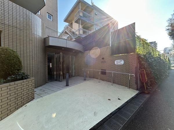 プラム12