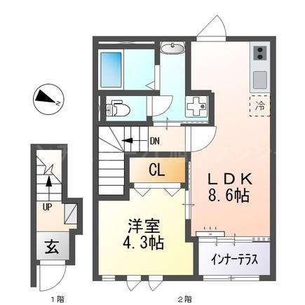 大鈴樹３