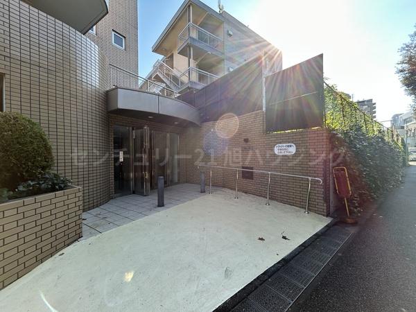 プラム12