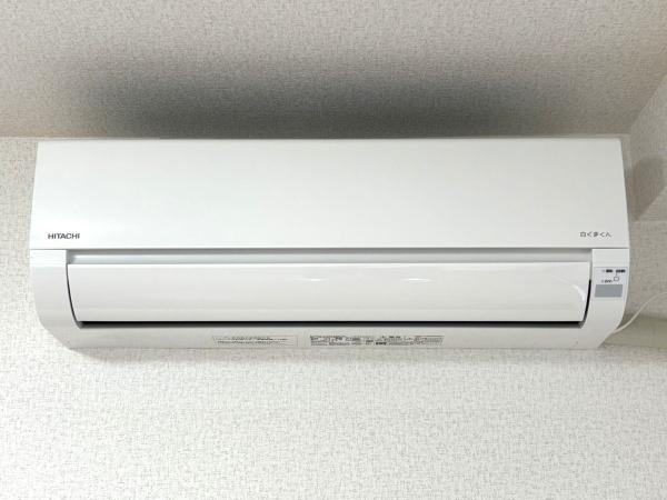 セルアーモ金子
