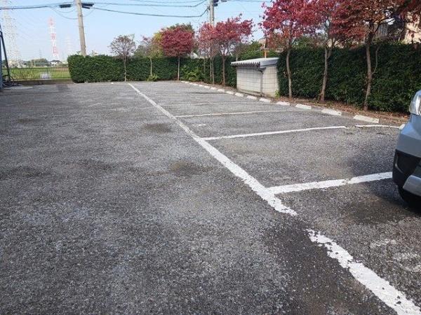 エルディムロックスプリングＡ