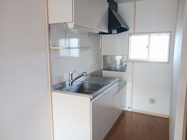 エルディムロックスプリングＡ