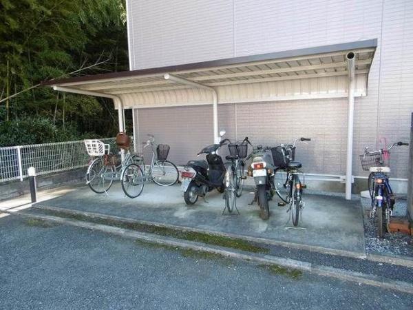 カトレア