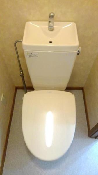 カトレア