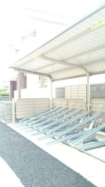 ステラ　２
