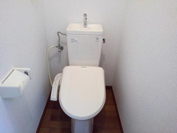 グランテソール