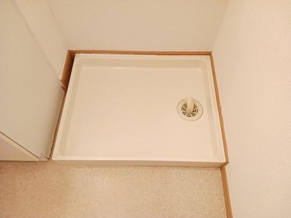 プラシード