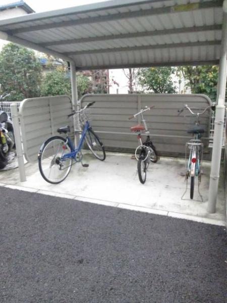 プラシード