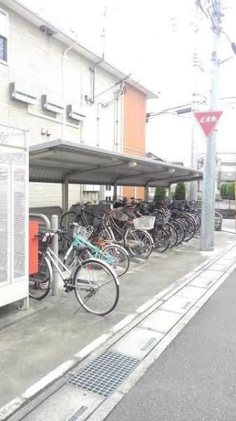ボニート１