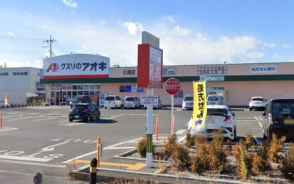 梅田本町貸家(クスリのアオキ小渕店)