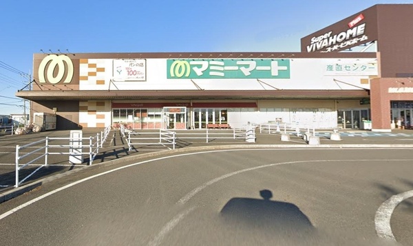 トーシンハイツ(マミーマートビバ春日部店)