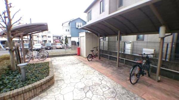 パウロニア