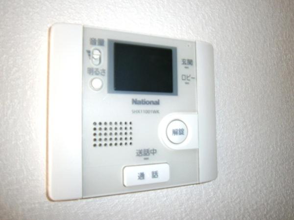 パウロニア
