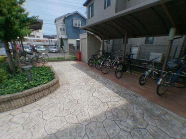 パウロニア