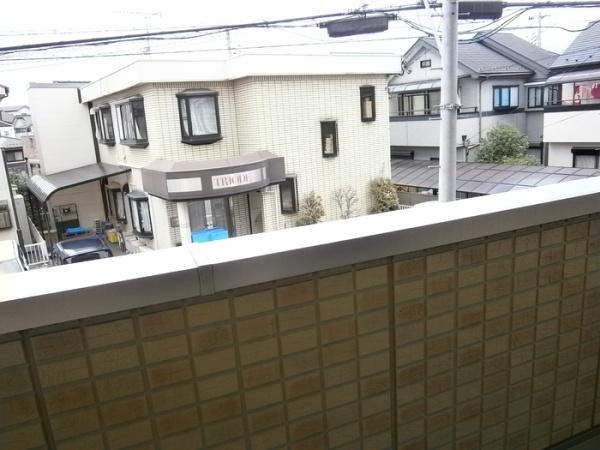 パウロニア