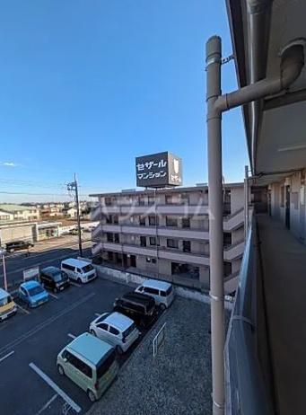 セザール春日部