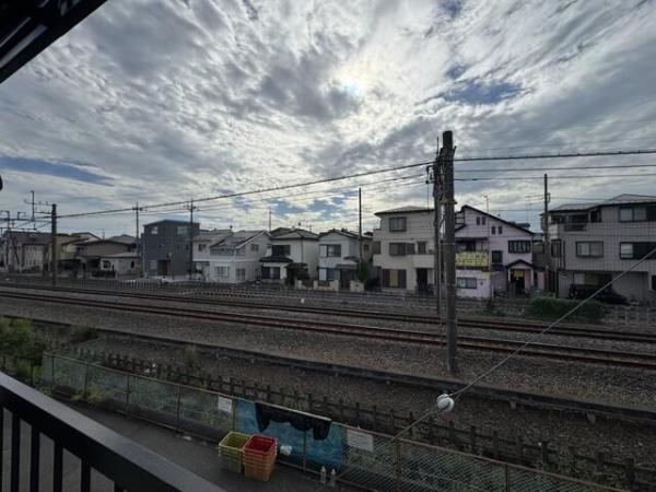 オクトーグリーン