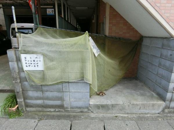 パレス・ユートピア
