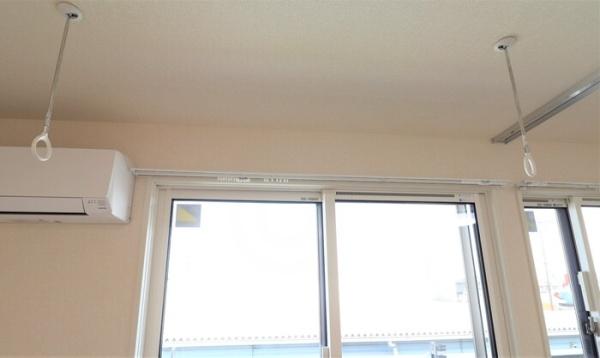 Ｌｅ　Ｇｉｎｋｇｏ