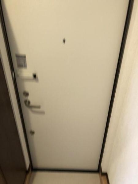 Freesia court(玄関)