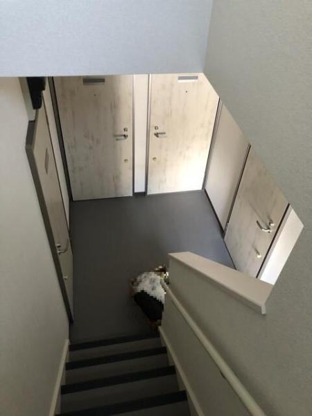 Freesia court(その他共用部分)