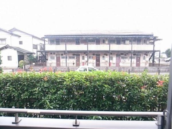 グリーンビジョン