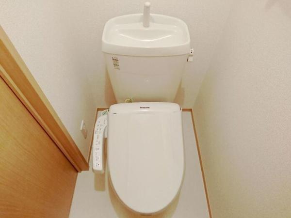 ＳａｎＡｎｆｉｅｌｄａ