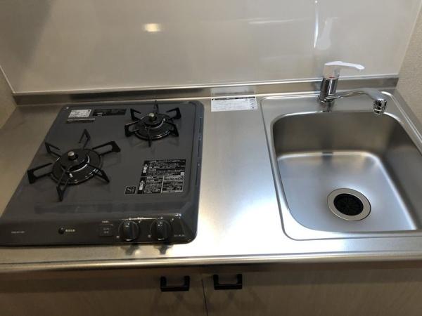 Ｆｒｅｅｓｉａ　ｃｏｕｒｔ