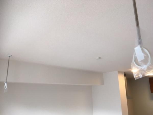 フェニックス２