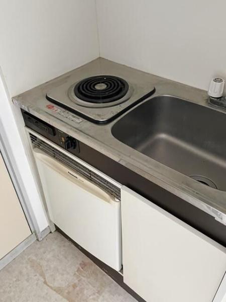 ｂ’ＣＡＳＡ一ノ割Ⅲｒｅ－ｂｏｒｎ